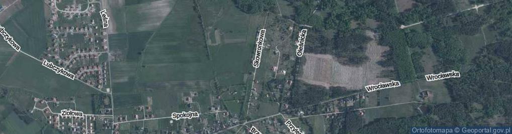 Zdjęcie satelitarne Skowronkowa ul.